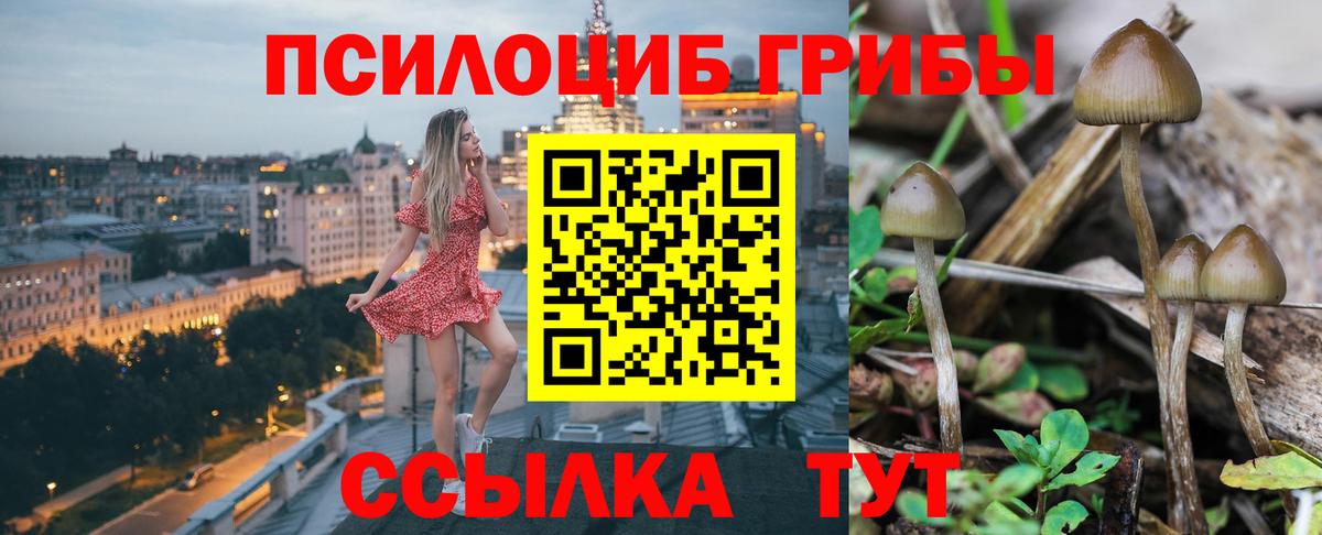 Галлюциногенные грибы мухоморы Горячий Ключ