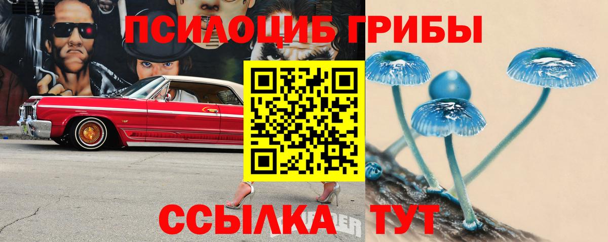 Горячий Ключ  Галлюциногенные грибы Cubensis  Вход с VPN 